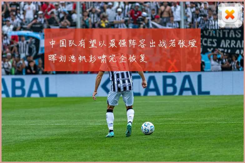 中国队有望以最强阵容出战若张瑷晖刘浩帆彭啸完全恢复