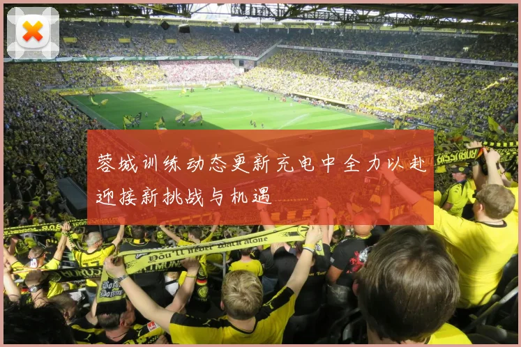 蓉城训练动态更新充电中全力以赴迎接新挑战与机遇