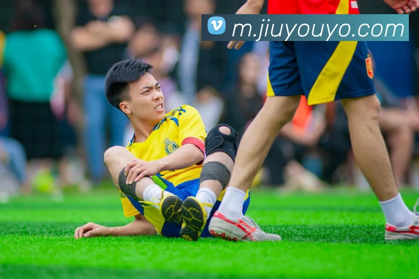 奖项证书